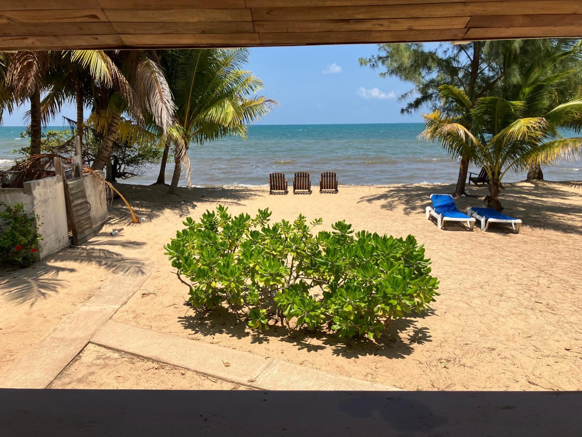 Lost Reef Resort Riversdale Kültér fotó